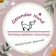 Gesunder Hund - Tierheilpraktikerin Moorrege WhatsApp Channel