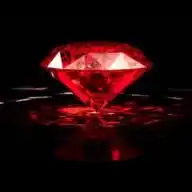 Havaneser of beautiful little diamond WhatsApp Channel
