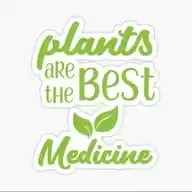 Herbal Clinic WhatsApp Channel