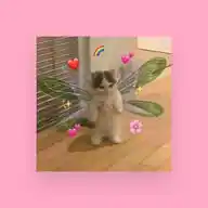 LOVER WhatsApp Channel