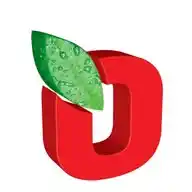 Onur Market WhatsApp Channel