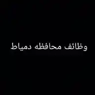 وظائف محافظة دمياط WhatsApp Channel