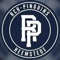 RCH Pinguins WhatsApp Channel