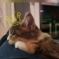 Sissi_the_princess WhatsApp Channel