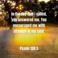 Soft Life through Jesus 🫴🫀 WhatsApp Channel