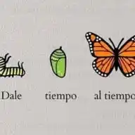 VIBRAS POSITIVAS WhatsApp Channel