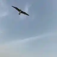 عـطاء الغـيمّ. 🌤️ WhatsApp Channel