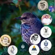 عُشاق الجوائز WhatsApp Channel