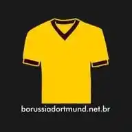 BORUSSIA DORTMUND BRASIL WhatsApp Channel