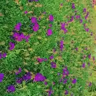 Brian's Landscaping, Concrete Works, Moulding And Excavation Hub WhatsApp Channel