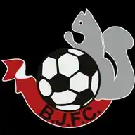 Bris Jrs Football School WhatsApp Channel