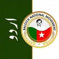 بی این ایم - اردو WhatsApp Channel