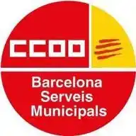 CCOO_BSM WhatsApp Channel