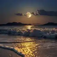 °•.RY.•° WhatsApp Channel