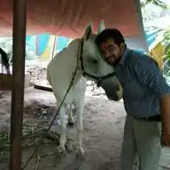 Harish K B Anti- Animal Cruelty Officer WhatsApp Channel