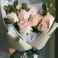 Lup 🌹 WhatsApp Channel
