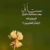 لیکدود: پښتو املاء پیژندنه WhatsApp Channel
