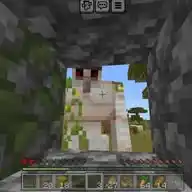 Minecraft Rardcore WhatsApp Channel
