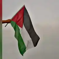 Palestine News WhatsApp Channel