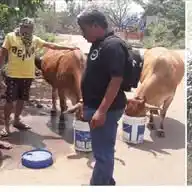 PEOPLE FOR ANIMALS (STUDENT WINGS)BHUBANESWAR WhatsApp Channel