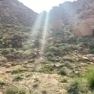 ❖ راصد نجدي ❖ WhatsApp Channel
