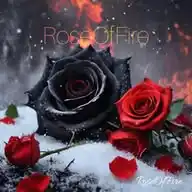 RoseOfFire WhatsApp Channel