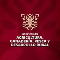 SAGADEGRO WhatsApp Channel