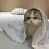 Sayang WhatsApp Channel