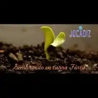 Sembrando en tierra fértil🌱 WhatsApp Channel