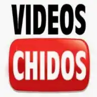 VIDEOS CHIDOS WhatsApp Channel