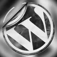 WordPress Türkiye WhatsApp Channel