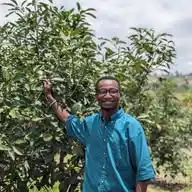 AGRONOMME🇷🇼 WhatsApp Channel
