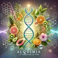 Alquimia 🔥🫀🔥 WhatsApp Channel
