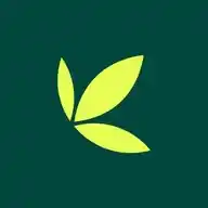 Bamboo  WhatsApp Channel