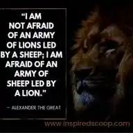 BUILD-UP SUCCESS  BUSINESS 🌎📝 WhatsApp Channel