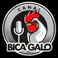 Canal Bica Galo WhatsApp Channel