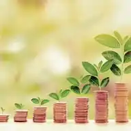 Capital Investment Info WhatsApp Channel