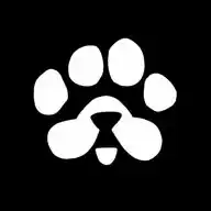 𝗖𝗿𝘆𝗽𝘁𝗼 𝗖𝗮𝘀𝗰𝗮𝗱𝗲 WhatsApp Channel