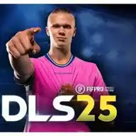 DLS 25 WhatsApp Channel