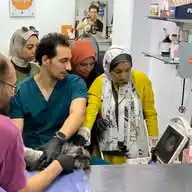 Dr Mohamed Elgendy Veterinary  Courses WhatsApp Channel