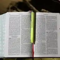 Firman Tuhan Menguatkan✝️ WhatsApp Channel