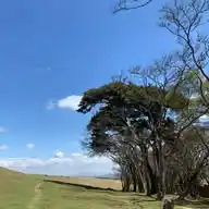 🟢Green Canopy Friends (GCF) 🌳🌿W/CHANNEL WhatsApp Channel