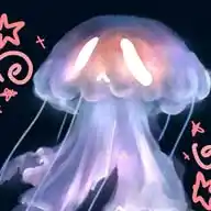 𑊝﹒ ⦻ Hana The Killer ⛥⊹ ࣪ 

︶꒡𝆺𝅥⦙⦙ꜝ WhatsApp Channel