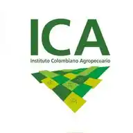 ICA Noticias WhatsApp Channel