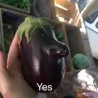 Larry’s Meme Garden  WhatsApp Channel