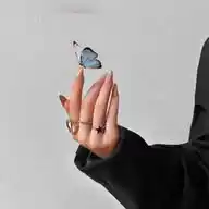 محمد العراقي 🇮🇶 WhatsApp Channel