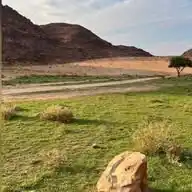 مقاطع قران و أحاديث  WhatsApp Channel