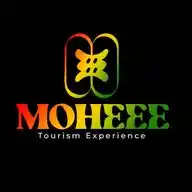 Moheee TV  WhatsApp Channel