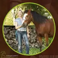 🐴 Natürliches Pferdetraining 💚 Stefanie Barth 🐴 WhatsApp Channel