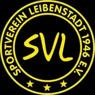 SVL Newsticker  WhatsApp Channel